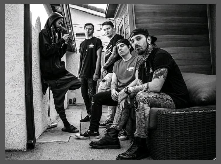 Dropout Kings
